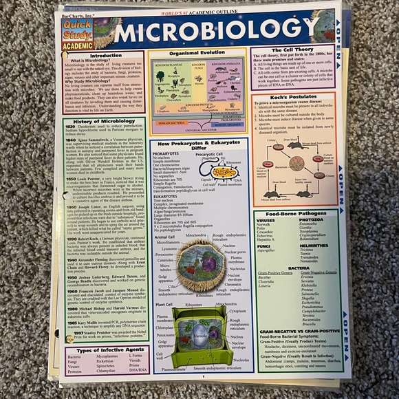 Nursing school book bundle - Picture 10 of 10